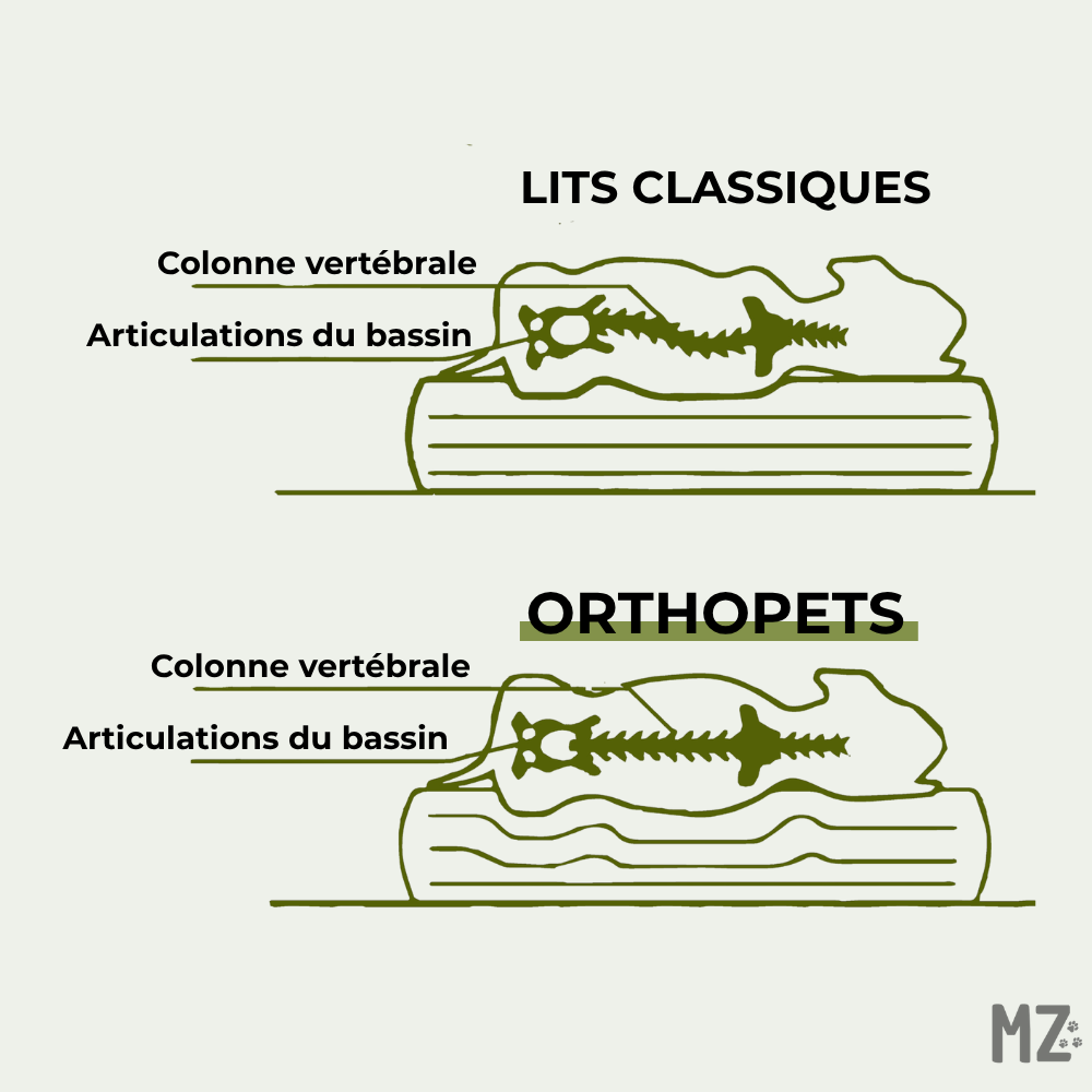 Lit orthopédique pour chien Orthopet