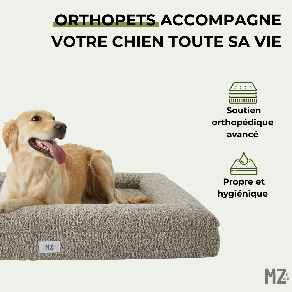 Lit orthopédique pour chien Orthopet