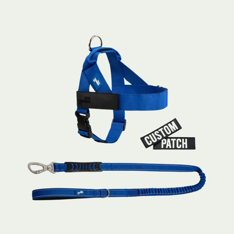 Kit harnais anti-traction personnalisé + laisse Zeny