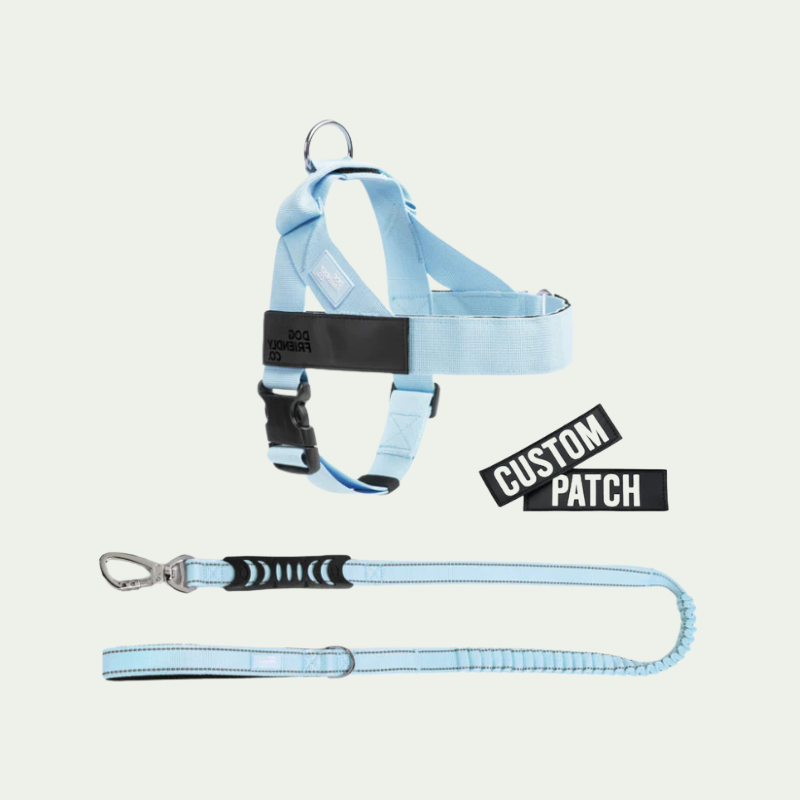 Kit harnais anti-traction personnalisé + laisse Zeny