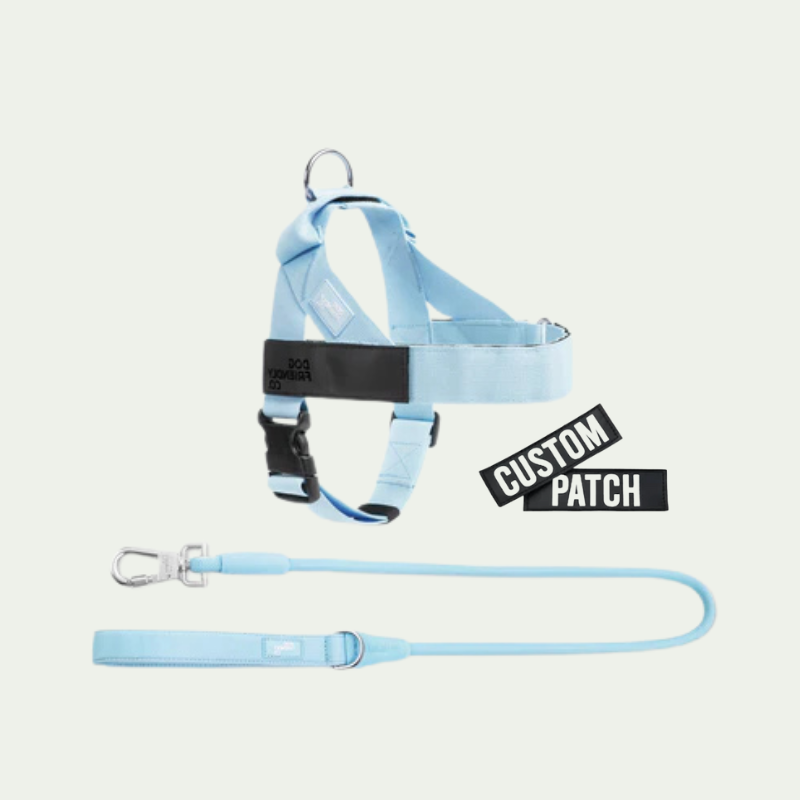 Kit harnais anti-traction personnalisé + laisse Zeny