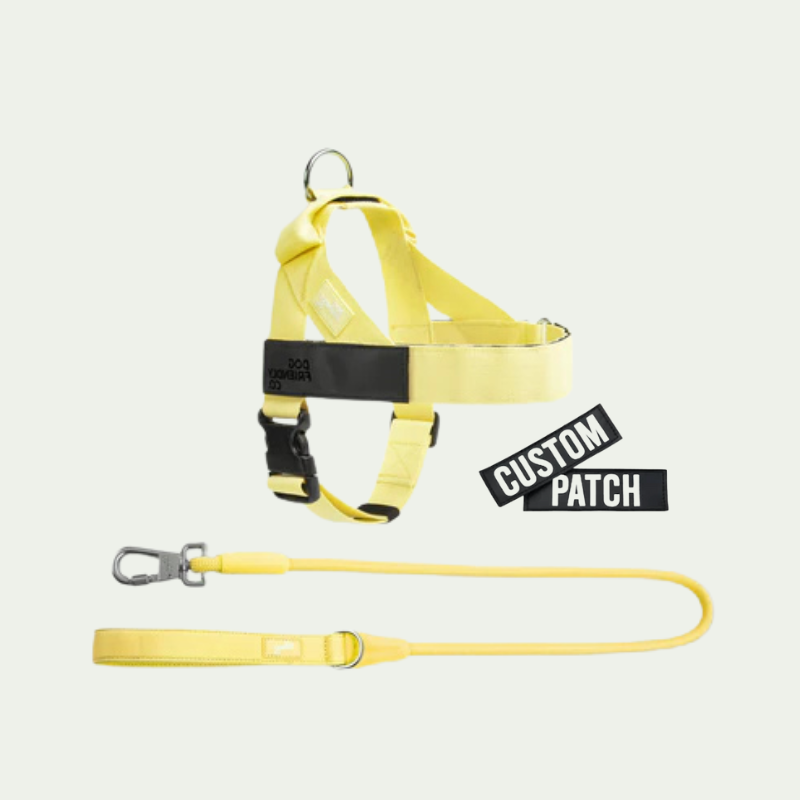 Kit harnais anti-traction personnalisé + laisse Zeny