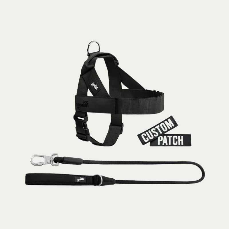 Kit harnais anti-traction personnalisé + laisse Zeny