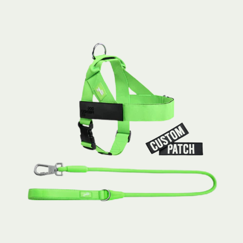 Kit harnais anti-traction personnalisé + laisse Zeny