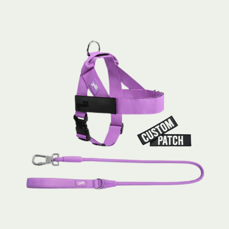 Kit harnais anti-traction personnalisé + laisse Zeny