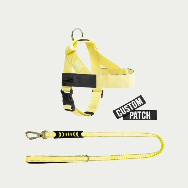 Kit harnais anti-traction personnalisé + laisse Zeny