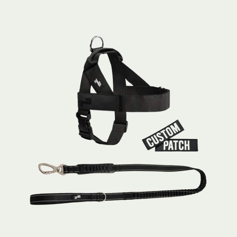 Kit harnais anti-traction personnalisé + laisse Zeny