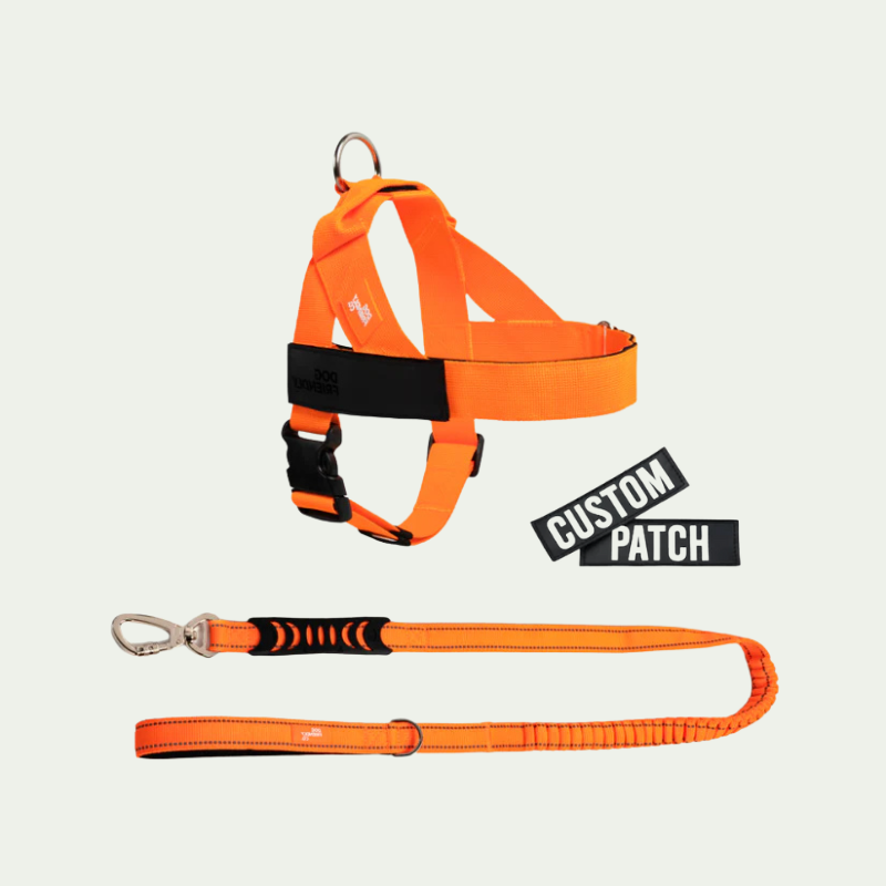 Kit harnais anti-traction personnalisé + laisse Zeny