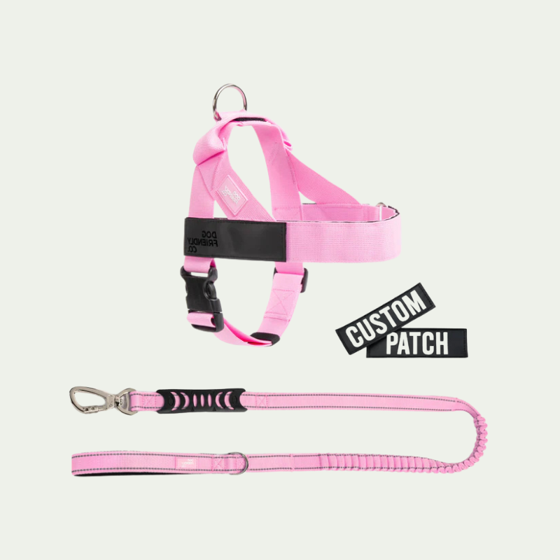 Kit harnais anti-traction personnalisé + laisse Zeny